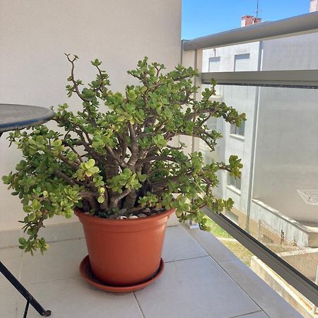 Cavalo-Marinho Nazare Apartman Kültér fotó